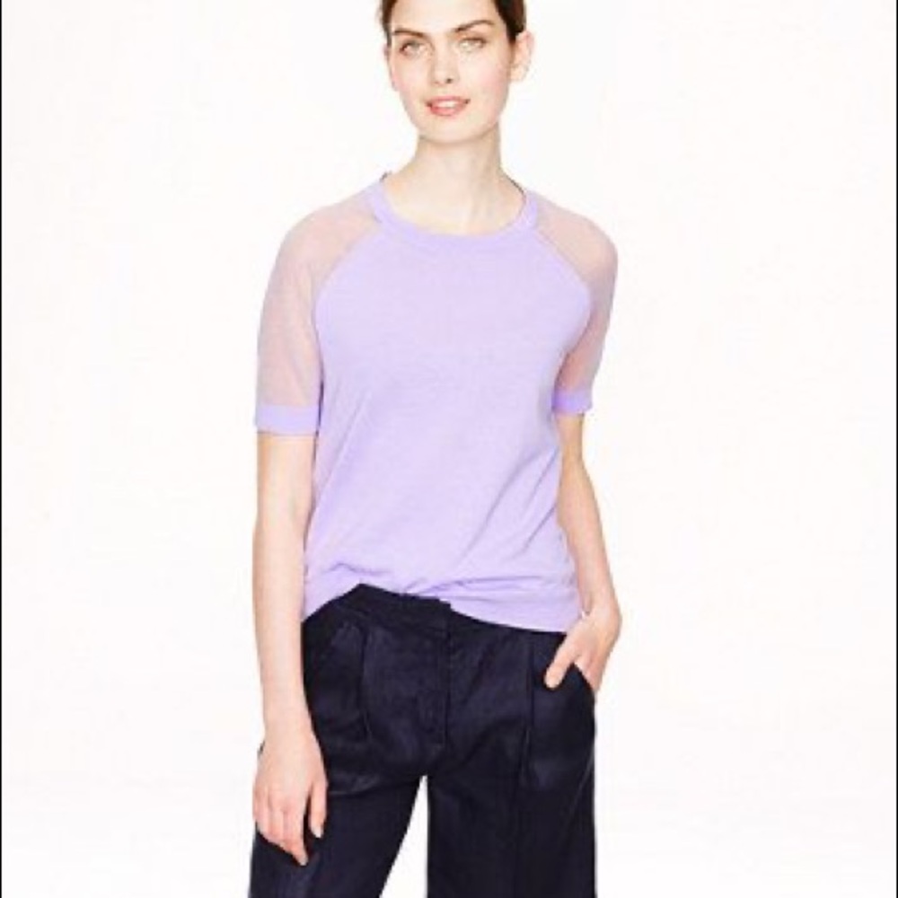 J. Crew Sheer Sleeve Crepe Sweater